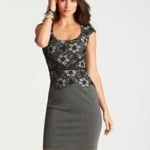 Ann Taylor Gray Floral Dress NWT